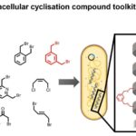 BaSi₂ ilə dəstəklənən nikel katalizatoru aşağı temperaturlu hidrogen istehsalını artırır