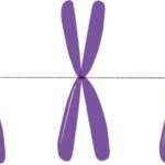 Alimlər işıqla “sərbəst axan” elektrik cərəyanlarını idarə edirlər