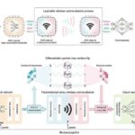 Sürü quşları süni intellektdən səs-küyün azaldılması barədə nə öyrənə bilər