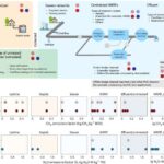 Bayat çörək və bakteriyalar yaşıl kimyəvi maddələrdə yeni bir dövrün başlanğıcını qoya bilər