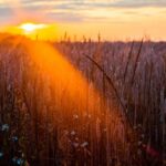 Sabahkı elektrik şəbəkəsi ekstremal vəziyyətlərin öhdəsindən gələ biləcəkmi? Yeni simulyasiyalar bərpa olunan enerji mənbələrini daha sürətli sınaqdan keçirir