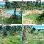 3D çaplı “ştepsel” fiber optikləri aşağı itki ilə fotonik çiplərə bağlayır