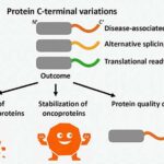 Quru qida emalı avadanlıqlarını təmizləmək və dezinfeksiya etmək üçün yeni antimikrob maddə