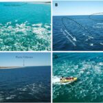 Astronomlar kainatın ən parlaq partlayan ulduzlarından bəziləri ilə əlaqəni təsdiqləyən bir maqnetarın doğulmasını qeydə alıblar