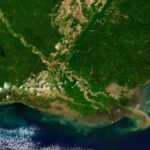 Əyləncədə Pasxa yumurtaları tapmaq zövqü və fan davranışını artırır, araşdırma göstərir