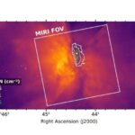 Gücləndirilmiş flüoresans texnikası sürətli və əlaqələndirilmiş zülal qatlanmasını işıqlandırır