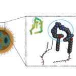 Kiçik “kənar” kompüter kənd yerlərində özünü idarə edən avtomobillərin işləməsinə kömək edə bilər