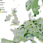 Müxtəlif C-terminal variasiyaları sağlamlıq və xəstəlikdə zülal sabitliyini yenidən təyin edir