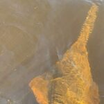 Düşüncələr insanları öldürmür, amma araşdırma silahların bunu etməməsi üçün variantlar təklif edir