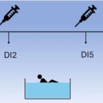 Kvant prosessorunun sazlanması: Yeni metod məntiqi əməliyyatlar zamanı qubit səhvlərini dəqiq müəyyən edir