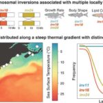 Öyrənmə beyin hüceyrələrini ayrı-ayrı deyil, birlikdə işləməyə vadar edir
