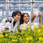 Dost göbələklər simbiozu təşviq etmək üçün bitki tənzimləyicisini ələ keçirir