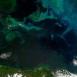 Ovuc böyüklüyündə superkeçirici maqnit 42 Tesla gücünə çatır və dünyanın ən böyük maqnitinə rəqib olur