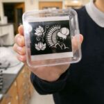 Eksperimental kimyaterapiya dərmanı immun hücumunu gücləndirən “viral mimika” siqnallarını tetikler