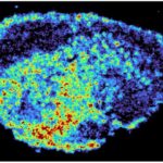 Perovskit-silikon üçqat qovşaqlı günəş batareyaları üçün rekord səmərəlilik əldə edildi