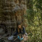 Tədqiqat göstərir ki, ABŞ milli parklarının 77%-i iqlim dəyişikliyinə çox həssasdır