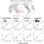 Elektrik sahəsi istilik ötürülməsini asanlaşdırmaq üçün titrəmələri tənzimləyir