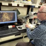 Yupiterin orbiti böyüklüyündə bir əraziyə sığışan ən kompakt dördlü ulduz sistemi