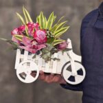 Ayaqlı robot Ayda resurs axtarışını və Marsda həyat axtarışını sürətləndirə bilər