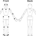 Platypus xəzi getdikcə uzanan siyahıya daha bir qəribə xüsusiyyət əlavə edir