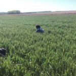 Qlobal araşdırma göstərir ki, dünya miqyasında insanların əksəriyyəti ətraf mühitin qorunmasını iqtisadi artımdan üstün tutur