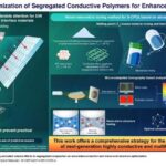 Süni intellekt dərin öyrənmənin alimlərə Kaliforniyanın sahil ekosistemlərini qorumağa necə kömək etdiyi