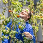 Robot mikrofluidik platforması süni intellektlə lipid nanopartikül dizaynını inkişaf etdirir