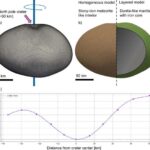 Tələbələr yeni xərçəng yumurtası yırtıcısını kəşf etdilər