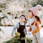 Titan kompleksləri yüksək sabit üzvi birləşmələrin əsas skeletini təmiz şəkildə redaktə edir