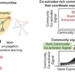 Ümummilli təhlillər göstərir ki, alternativ döş xərçəngi müalicəsi ölüm hallarını təxminən dörd dəfə artırır