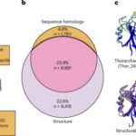 Texno imzalar çatışmır? Turbulent plazma öz ulduz sistemlərini tərk etməzdən əvvəl ultra dar siqnalları bulanıqlaşdıra bilər.