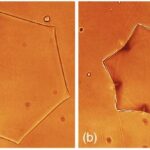Kvant kompüterlərinin içərisində nə baş verir? Yeni metod tomoqrafiya prosesini sadələşdirir