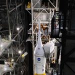 Kiçik səsyazma çantaları yarasaların təəccüblü ov strategiyasını ortaya qoyur