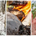 Platypus xəzi getdikcə uzanan siyahıya daha bir qəribə xüsusiyyət əlavə edir