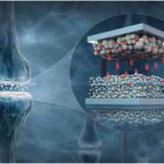 Sürətli ardıcıllıq metodu antibiotik müqavimətinin eyni gündə aşkarlanmasını təmin edir