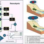 Şam ağacı nematoduna nəzarət: Qiymət və effektivlik arasında ən yaxşı balansı tapmaq
