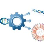 Araşdırmalar göstərir ki, ən yaxşı süni intellekt kodlaşdırma vasitələri hər dörd dəfədən birində səhv edir
