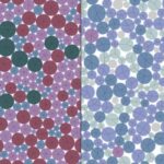 Foundation AI modeli çoxsaylı beyin xəstəliklərini proqnozlaşdırmaq üçün MRT məlumatlarından istifadə edir