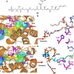 Qrafen “yarpaq döyməsi” sensoru bitkilərin nəmlənməsini real vaxt rejimində izləyir