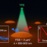 Hiperəlaqəli dünyada ortaq gözləntilər mənfi təcrübələrin necə hiss olunduğunu formalaşdıra bilər