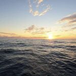 Süni intellekt partlayan fraqmentlərdən molekulları bərpa edir