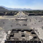 Ekspozisiyaya genişmiqyaslı baxış göstərir ki, ətraf mühitə məruz qalma insan sağlamlığının nəticələrinin formalaşmasında genetika ilə rəqabət aparır.