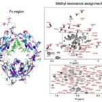 Aralıq dənizində sunami riskləri: Niyə Nitsa evakuasiya planı hazırlamalıdır
