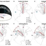 Astronomlar kainatın ən parlaq partlayan ulduzlarından bəziləri ilə əlaqəni təsdiqləyən bir maqnetarın doğulmasını qeydə alıblar