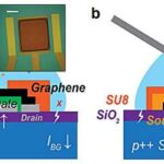 Uşaqlarda və gənc yetkinlərdə ən çox yayılmış sümük xərçəngi forması üçün perspektivli yeni terapiya hazırlanmışdır
