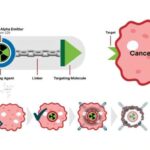 Araşdırmaya görə, Dallas-Fort-Uortda istifadə olunmamış innovasiya potensialı var