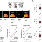 Lokal damcı aşındırma, inteqrasiya olunmuş fotonika üçün daha simmetrik kvant nöqtələri verir