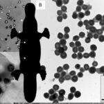 Getdiyiniz yol əsl hisslərinizi üzə çıxara bilər