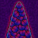 Yapon alimləri düşən pişiklərin demək olar ki, həmişə mükəmməl eniş etmələrini kəşf etdilər