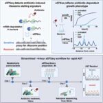 Yeni süni intellekt yarımkeçiriciləri öyrənmə və yaddaş üçün hidrogen ionlarından istifadə edir